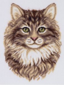 ж-7465 - Сибирская кошка